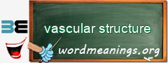 WordMeaning blackboard for vascular structure